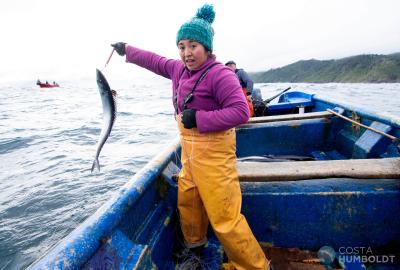 A fisher holding a fish on a hook leaning over a boat