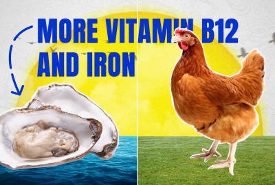 A side-by-side with oysters on one side and chicken on the other with the words "more vitamin b12 and iron" with an arrow pointing to the oysters