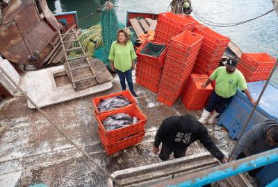 An overhead shot of fish being taken off a boat in orange containers