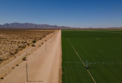A desert landscape next to lush green fields separated by a dirt road