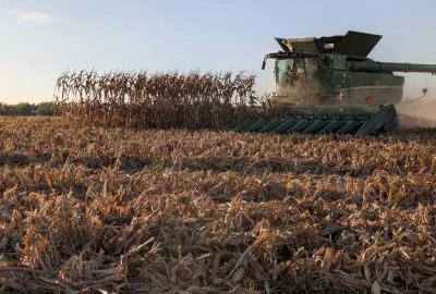 A thresher goes through a field 
