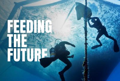 Two scuba divers from underneath with the words "Feeding the future" on the screen