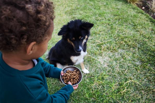 A small child stands next to a puppy about to hand the dog a bowl of food