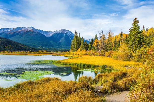 An idyllic Canadian wetland with forest and mountains surrounding it